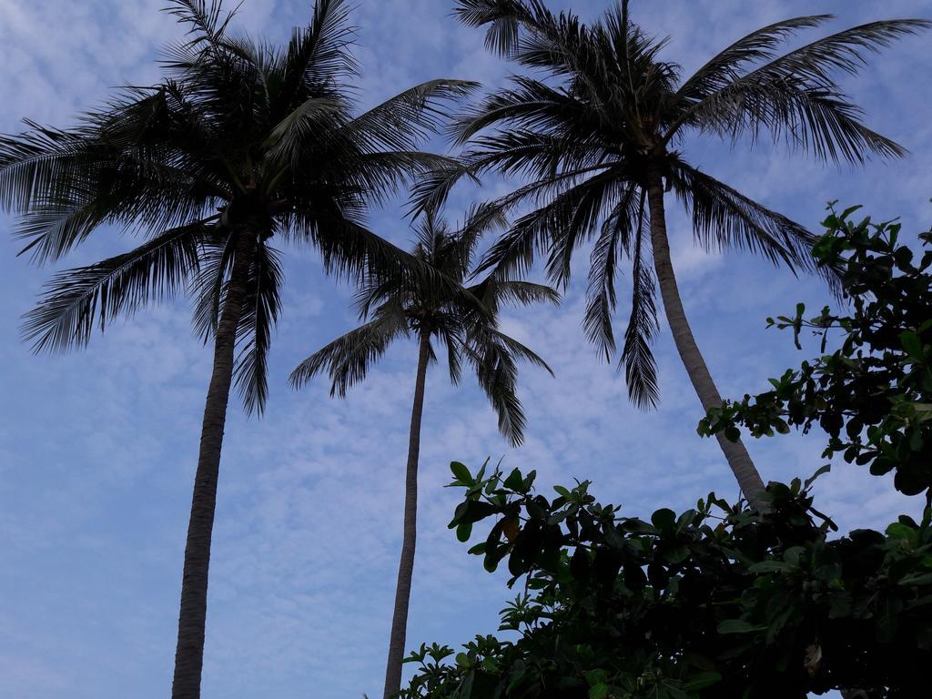 Bach Duong Hotel Phan Thiết Exteriér fotografie